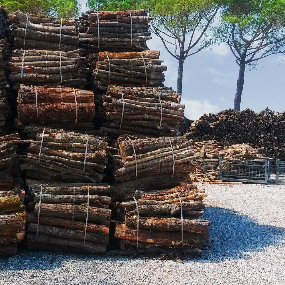 Vendita legna da ardere: il modo di riscaldarsi meno costoso